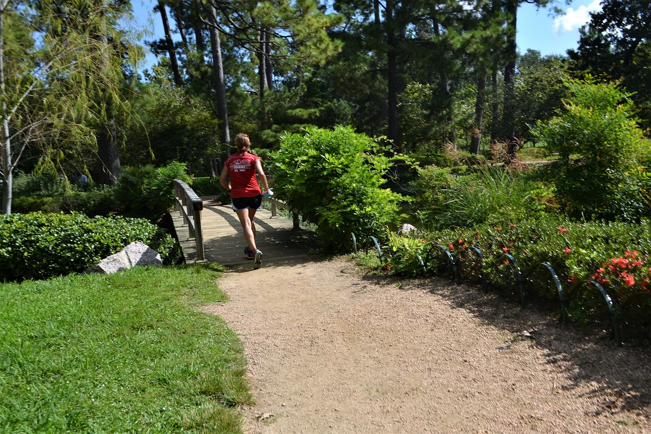 female jogger, running, green-2832118.jpg