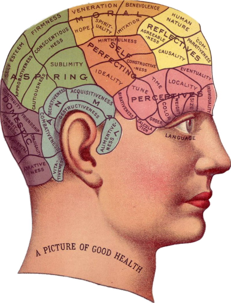 vintage, brain, advertisement-1418613.jpg