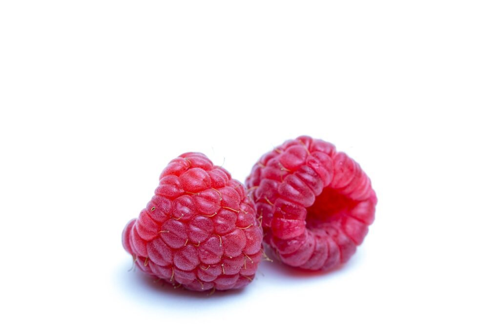 raspberries, berries, zarza